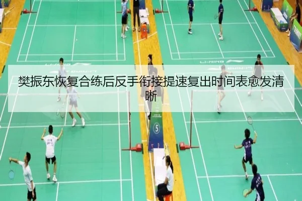 樊振东恢复合练后反手衔接提速复出时间表愈发清晰