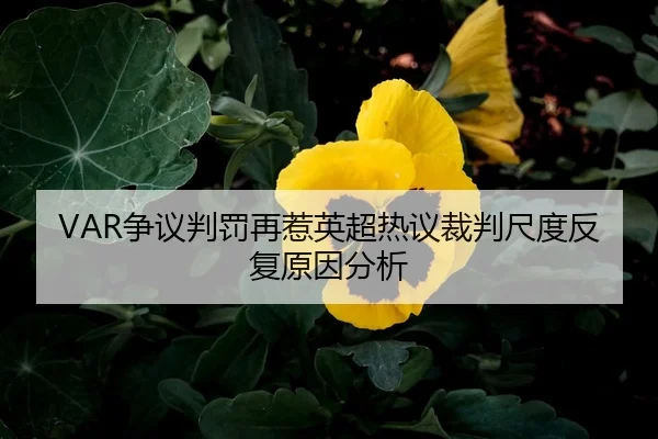 VAR争议判罚再惹英超热议裁判尺度反复原因分析