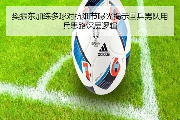 樊振东加练多球对抗细节曝光揭示国乒男队用兵思路深层逻辑